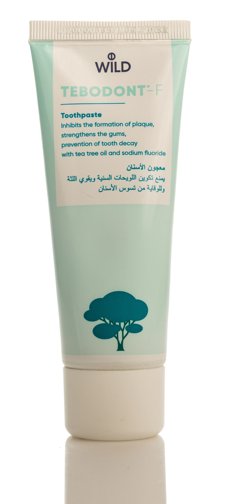 TEBODONT-F-T /P 75 ML